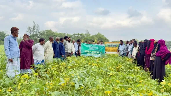 Solidaridad Asia Network-এর আমন্ত্রণে নোয়াখালীর সয়াবিন মাঠ পরিদর্শন